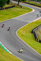 Middle 2 Group Yellow Bikes